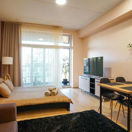Apartment Cozy Center Studioapartment, Free Parking