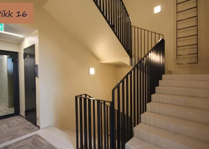 Cozy Center Studioapartment, Free Parking 派尔努