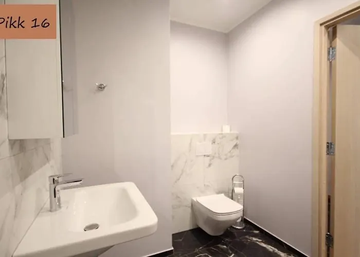 公寓 Cozy Center Studioapartment, Free Parking 派尔努