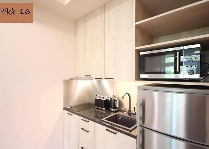 Cozy Center Studioapartment, Free Parking